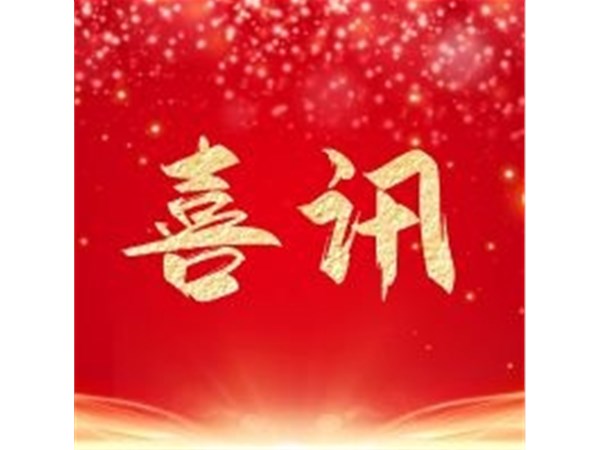 喜訊丨公司技術(shù)喜獲科技進(jìn)步獎一等獎
