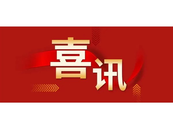 【喜訊】我公司“固廢資源化循環(huán)利用工程的總集成總承包”榮獲山東省服務(wù)型制造示范企業(yè)稱號